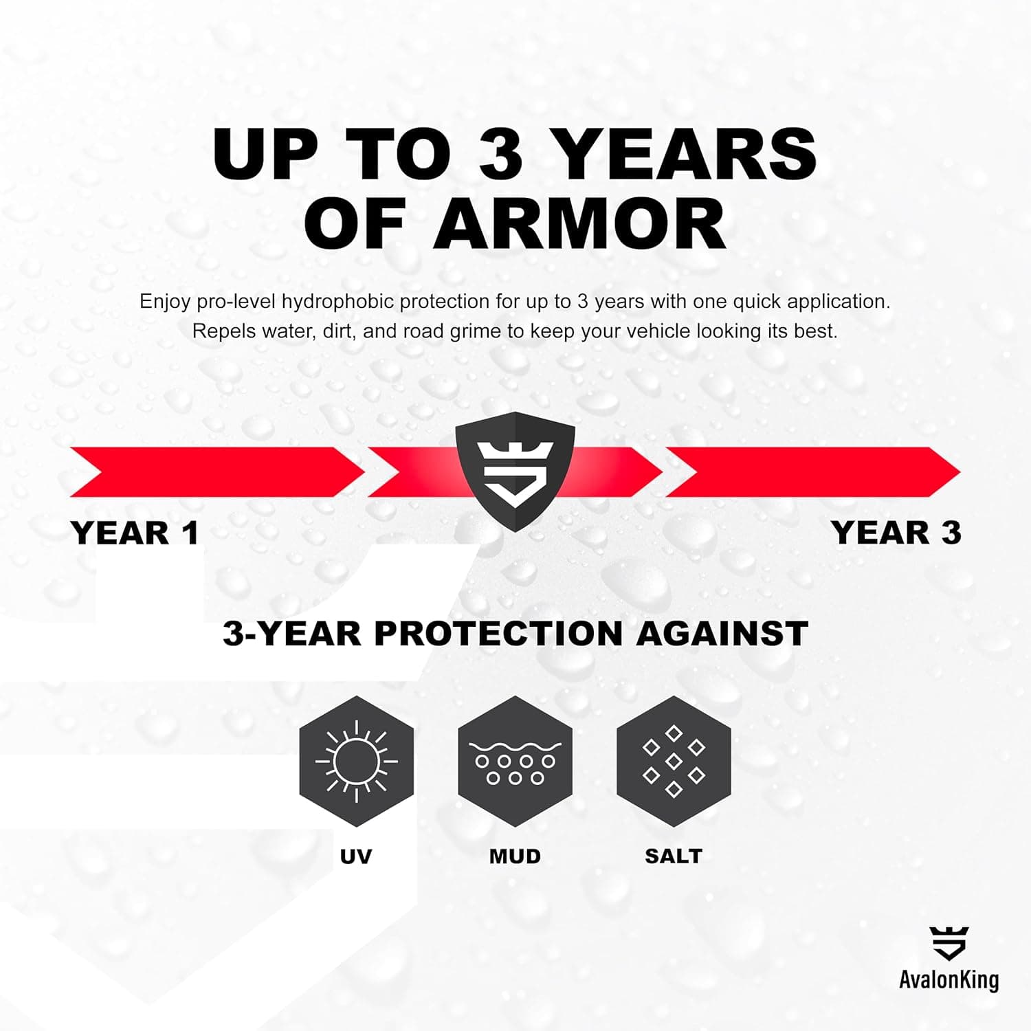 AvalonKing Armor Shield IX MAX Nano Ceramic Coating Kit