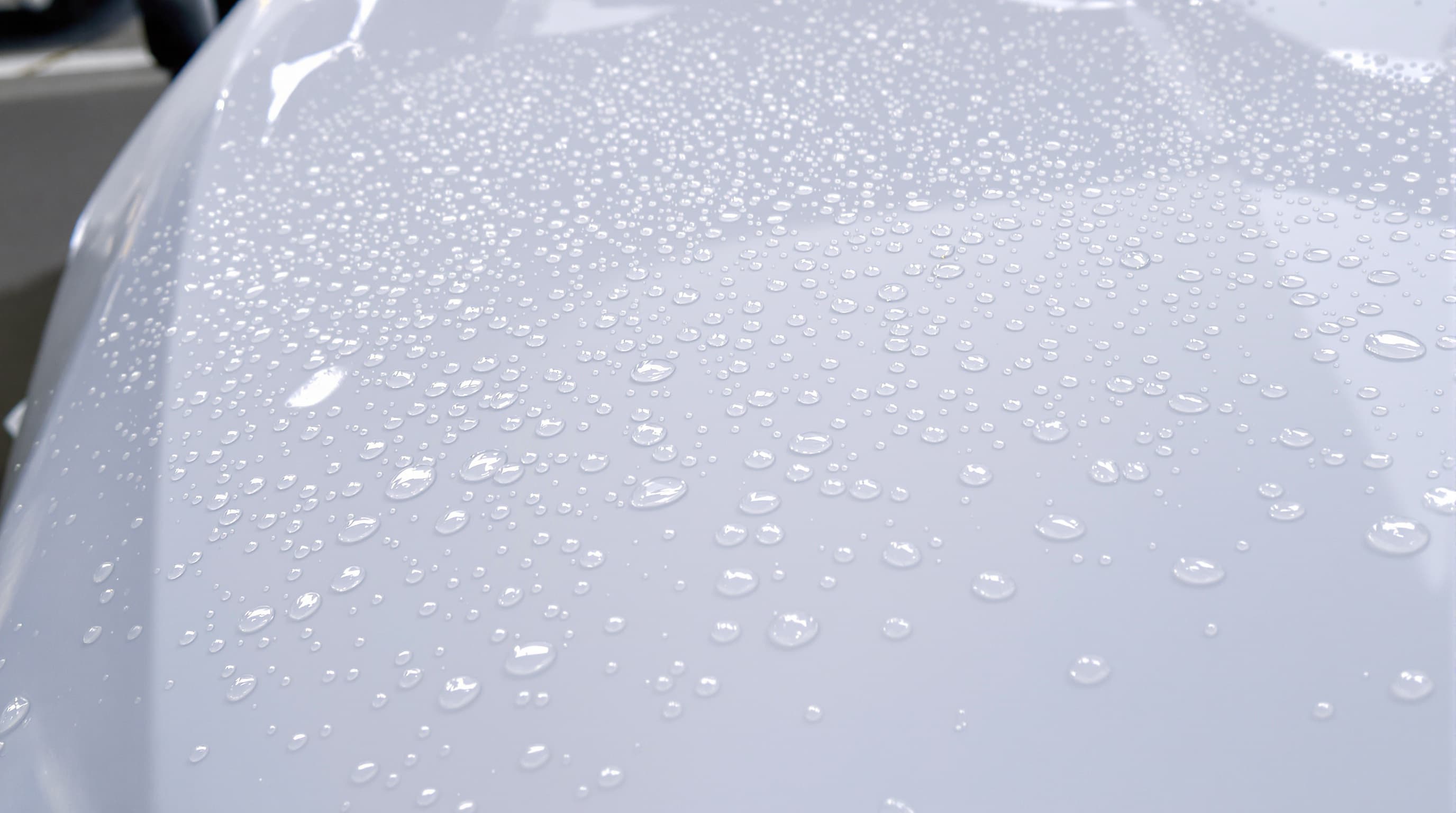 Water beading on the glossy white hood of a freshly ceramic-coated car showing the hydrophobic effect