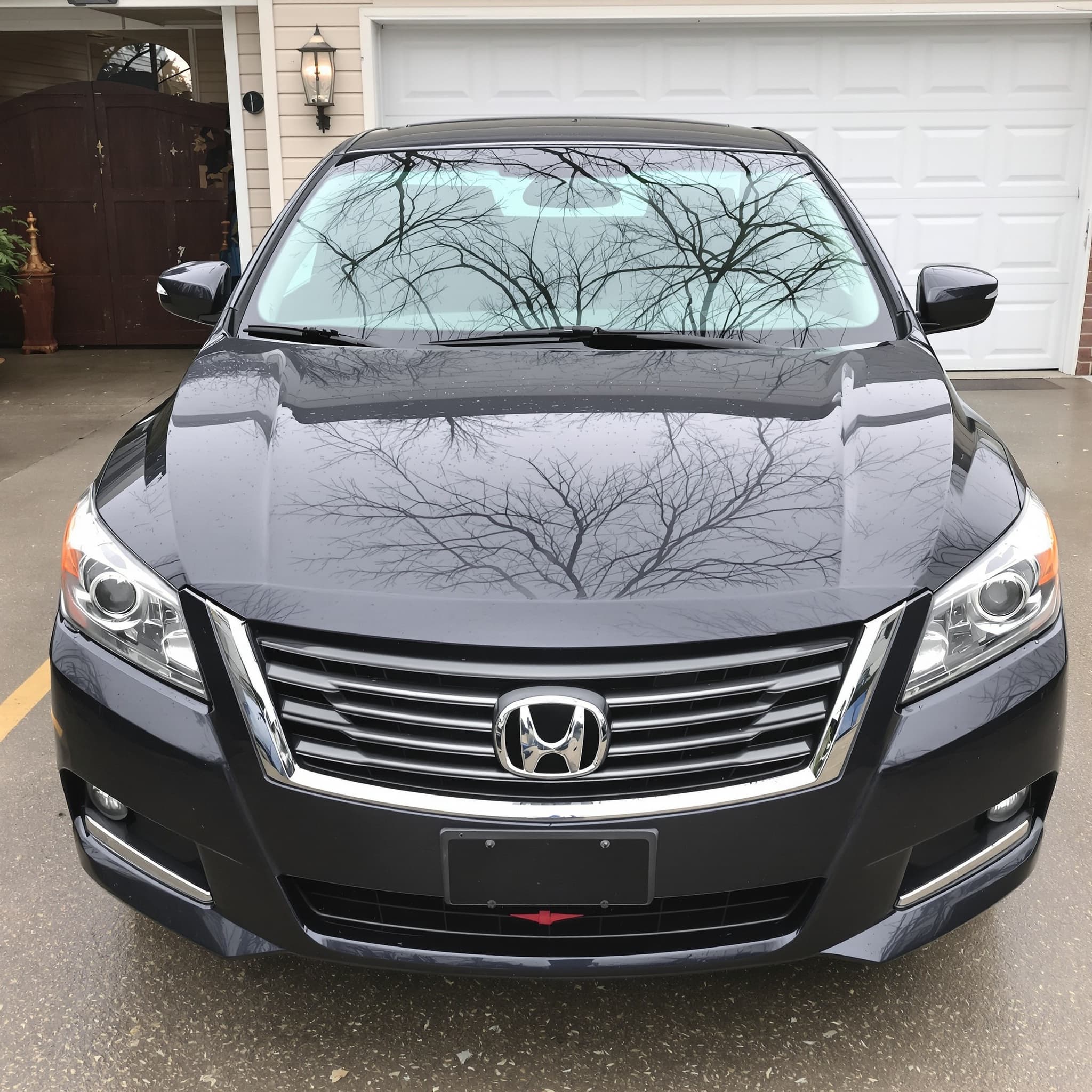 The clean glossy front bumper, grille, and hood of a freshly washed dark sedan in a driveway, the spots where bugs and tar collect