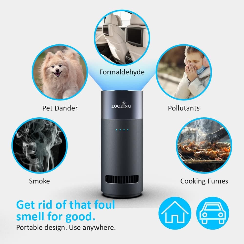LKT Ozone Generator for Car Odor Removal (K200)