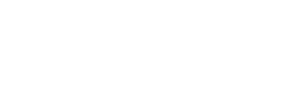 Evans Cooling Systems logo