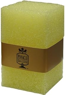 Pinnacle Natural Brilliance Safe Scrub Bug & Tar Pad
