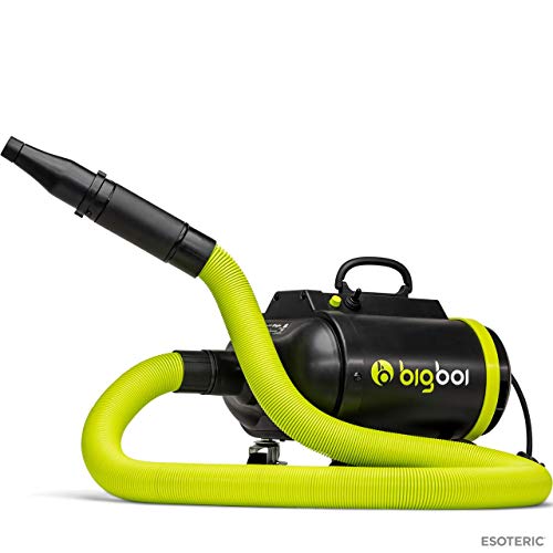 bigboi BlowR PRO Professional Car/Boat/Motorcycle Air Dryer