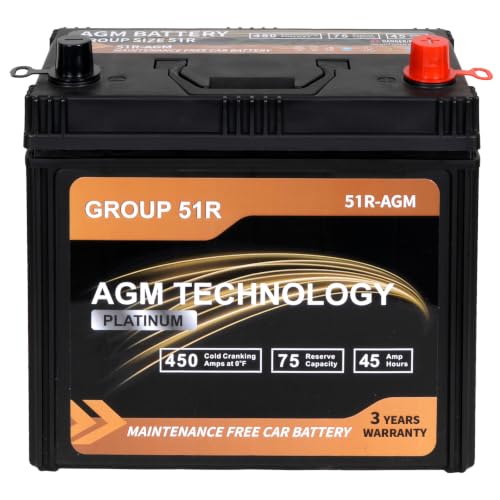 Weize Platinum AGM Battery BCI Group 51R