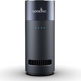 LKT Ozone Generator for Car Odor Removal (K200)