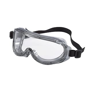 3M Professional Goggle 91264H1-DC
