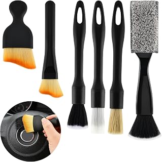 Lixternum 6PCS Boar Hair Detailing Brush Set