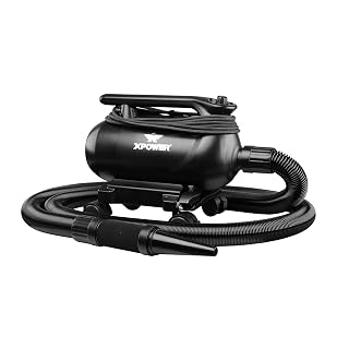 XPOWER A-16 Professional Car Dryer Blower with Mobile Dock