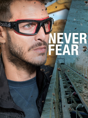 Bollé 254-CB-40091 Cobra Dust Goggle (Clear Anti-Fog, Strap + Foam) — image 2