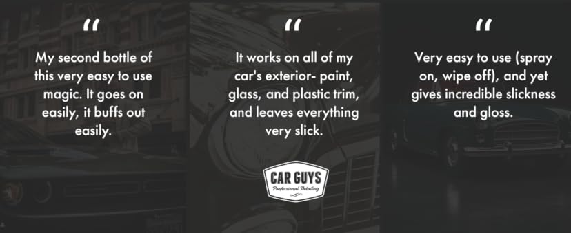 CAR GUYS Hybrid Wax — image 4