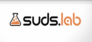 Suds Lab WS Heavy Duty Water Spot Gel Remover — image 2