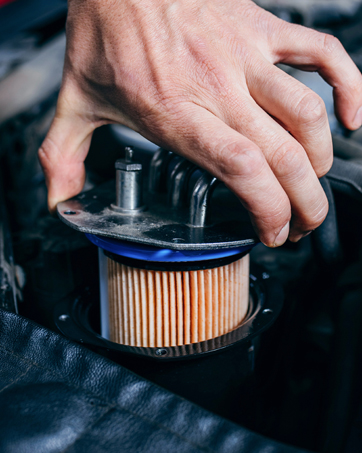 ECOGARD XA5649 Premium Engine Air Filter — image 5