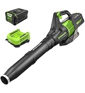 Greenworks PRO GPW3000 Brushless Electric Pressure Washer — image 12