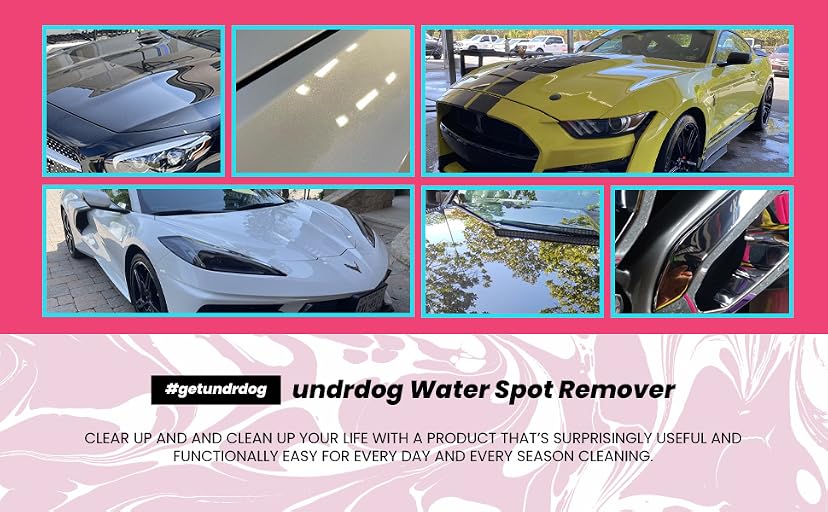 Undrdog WSP Water Spot Remover — image 6