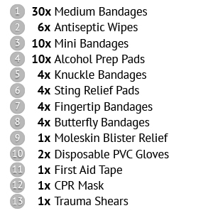 Swiss Safe 2-in-1 First Aid Kit (120 Piece + Bonus 32-Piece Mini Kit) — image 3