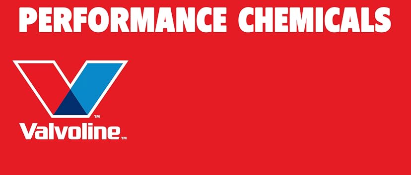 Valvoline MaxLife High Mileage Complete Fuel System Cleaner — image 1