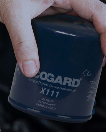 ECOGARD XA5649 Premium Engine Air Filter — image 4