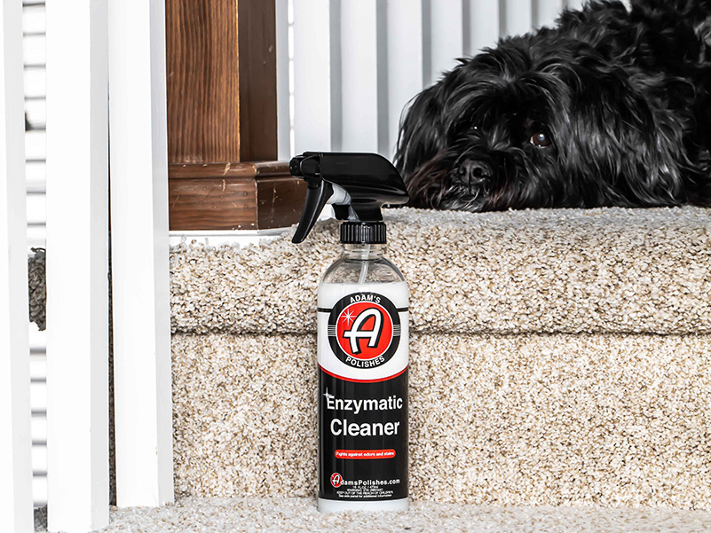 Adam's Polishes Enzymatic Cleaner — image 8