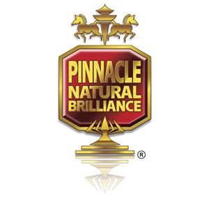 Pinnacle Natural Brilliance Safe Scrub Bug & Tar Pad — image 5
