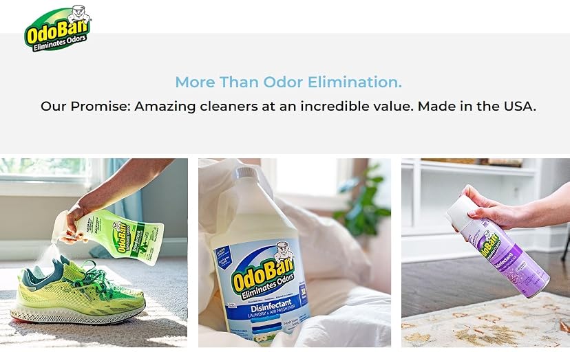 OdoBan Ready-to-Use Disinfectant and Odor Eliminator (Citrus, 32 oz) — image 1